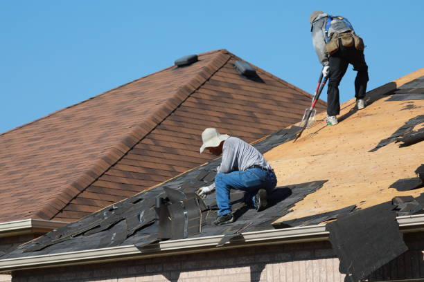 Best Roof Maintenance and Cleaning  in , OH